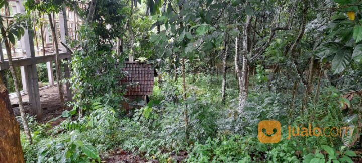 Tanah Pongangan Gunungpati Kota Semarang Dekat SMP SMA Semesta