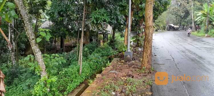 Tanah Pongangan Gunungpati Kota Semarang Dekat SMP SMA Semesta