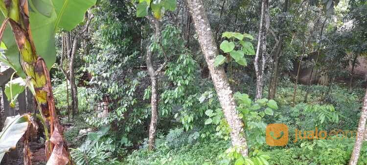 Tanah Pongangan Gunungpati Kota Semarang Dekat SMP SMA Semesta