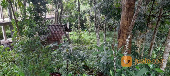 Tanah Pongangan Gunungpati Kota Semarang Dekat SMP SMA Semesta
