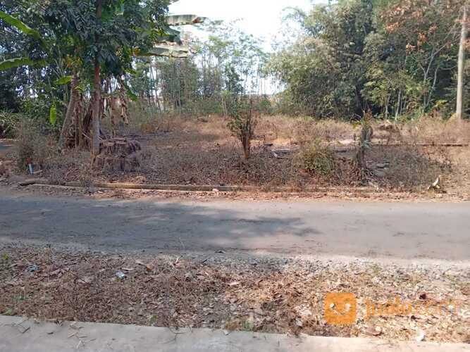 Tanah Selatan Pabrik Sepatu Bojong Pekalongan, Luas 1.050 m2, Padat Penduduk