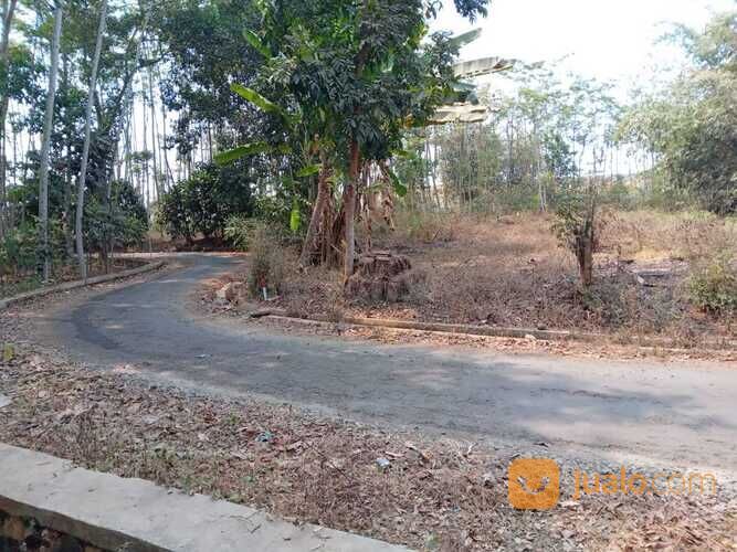 Tanah Selatan Pabrik Sepatu Bojong Pekalongan, Luas 1.050 m2, Padat Penduduk