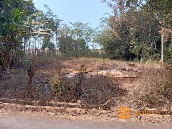 Tanah Selatan Pabrik Sepatu Bojong Pekalongan, Luas 1.050 m2, Padat Penduduk