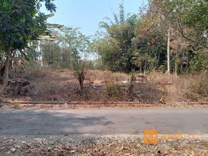 Tanah Selatan Pabrik Sepatu Bojong Pekalongan, Luas 1.050 m2, Padat Penduduk