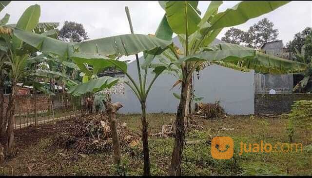 Tanah Murah di Mijen Semarang, Bisa akses Mobil