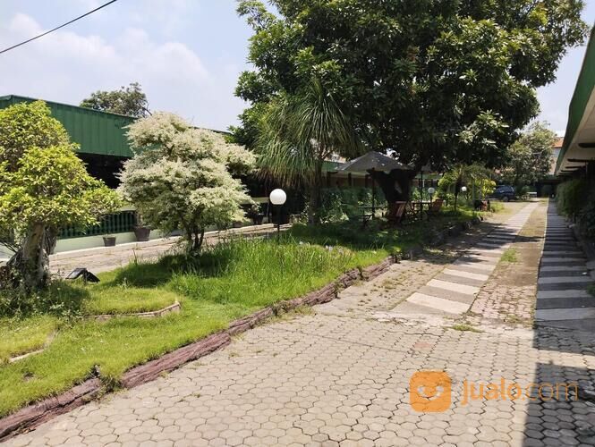 Hotel Bagus di Pusat Kota Dekat Alun Alun Pasuruan