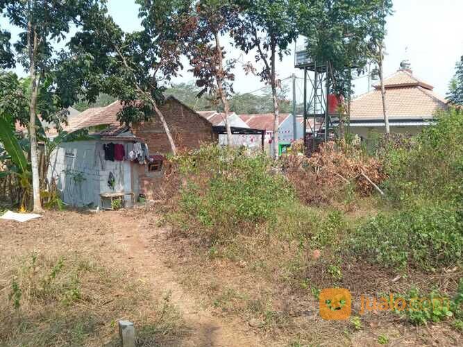 Tanah Siap Bangun Area Jetak Kidul Wonopringgo, Dekat Lapangan Jetak Kidul