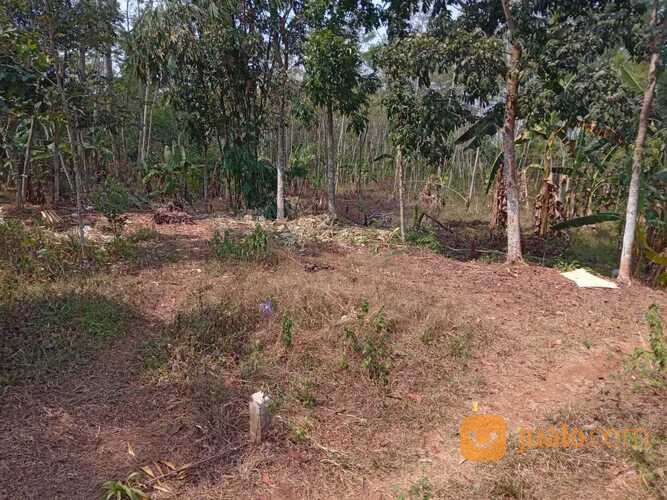 Tanah Siap Bangun Area Jetak Kidul Wonopringgo, Dekat Lapangan Jetak Kidul