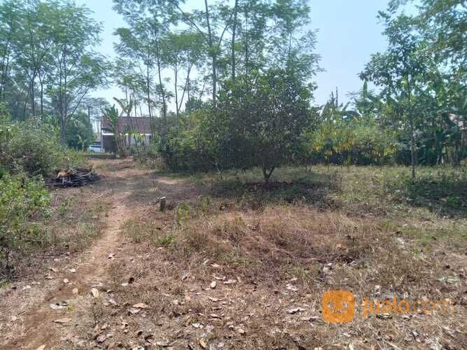 Tanah Siap Bangun Area Jetak Kidul Wonopringgo, Dekat Lapangan Jetak Kidul