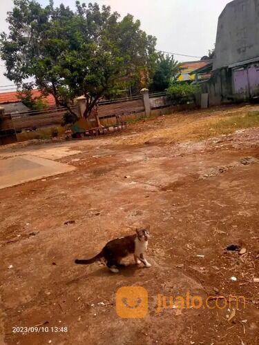 Sewa Tanah Kosong Untuk Usaha di Joglo