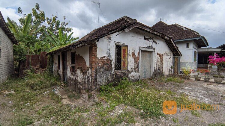 (BWI A.361) Rumah di Jl. Raya Sumberwaru Desa Tamanagung Kecamatan Cluring Banyuwangi