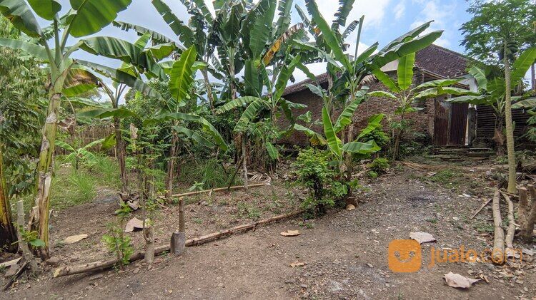 (BWI A.361) Rumah di Jl. Raya Sumberwaru Desa Tamanagung Kecamatan Cluring Banyuwangi
