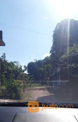 Tanah Dsn. Tanggungan RW. 02 Wringinanom Gresik