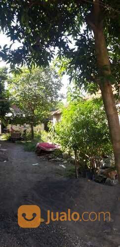 Tanah Dsn. Tanggungan RW. 02 Wringinanom Gresik