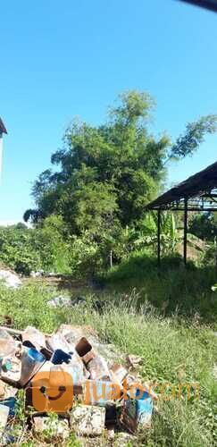 Tanah Dsn. Tanggungan RW. 02 Wringinanom Gresik