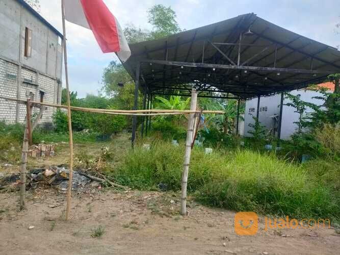 Tanah Dsn. Tanggungan RW. 02 Wringinanom Gresik