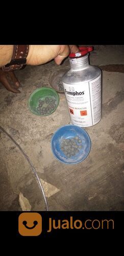 Plastik Fumigasi Ukuran Bebas Minimal Order 100 m2 Ketebalan 250 Mikron