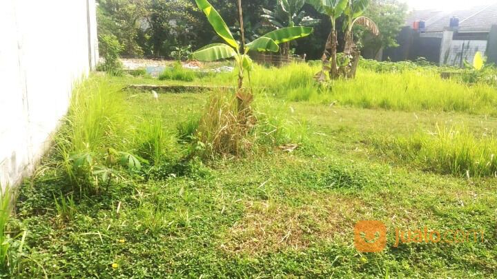 Tanah Kavling Limo Murah Hanya 2,5 Jt Dekat KFC Meruyung