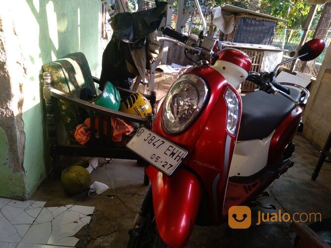 Honda scoopy 2013