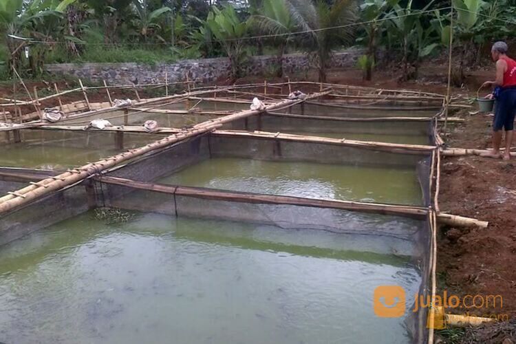 Waring/Jaring Ikan untuk Keramba, Pagar Kolam & Kandang Harga Murah