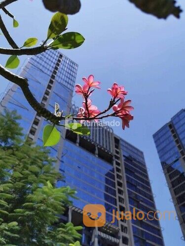 Apartmen & Office Terdiri dari 2 Tower Hunian, 1 Office Tower Ikonik, 3 Paviliun