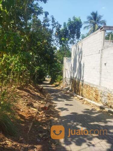 Tanah Murah di kebonmanis Mangunsari Gunungpati Semarang Seberang BPMPK Jateng