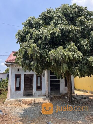 Rumah Tanah dan Bangunan Murah di Pelaihari