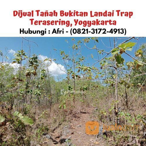 Tañah Bukitan Landai Trap Terasering, Yogyakarta