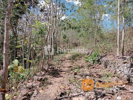 Tañah Bukitan Landai Trap Terasering, Yogyakarta