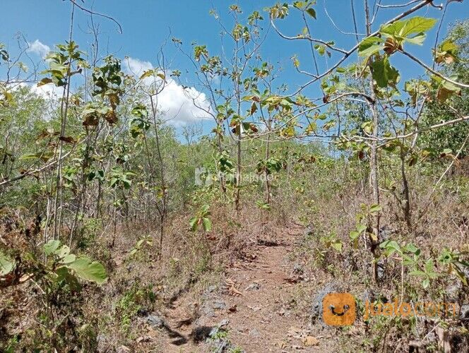 Tañah Bukitan Landai Trap Terasering, Yogyakarta