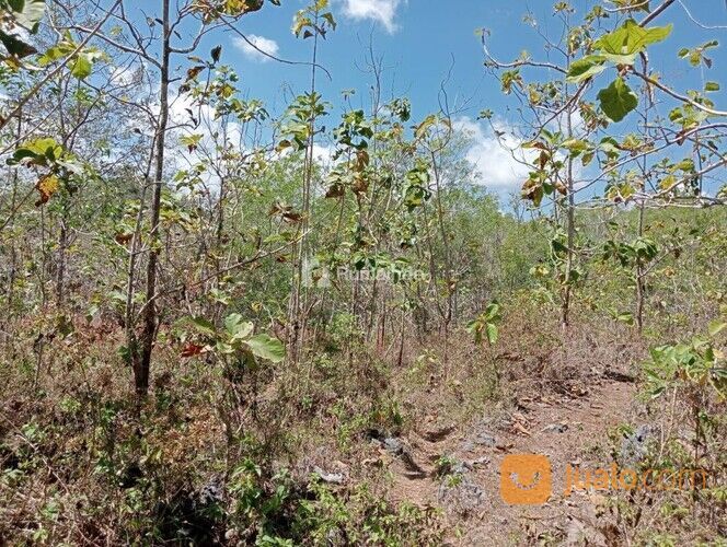 Tañah Bukitan Landai Trap Terasering, Yogyakarta