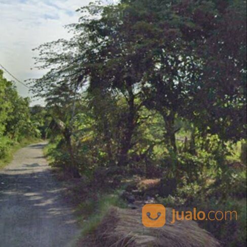 Tanah 11,9 are, Jl. Subak Canggu Batu Bolong Kuta Utara