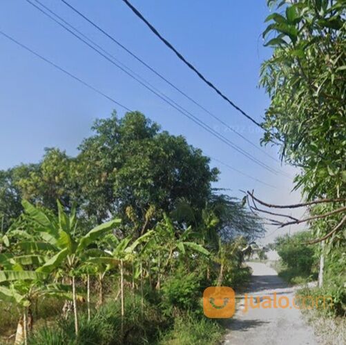 Tanah 11,9 are, Jl. Subak Canggu Batu Bolong Kuta Utara