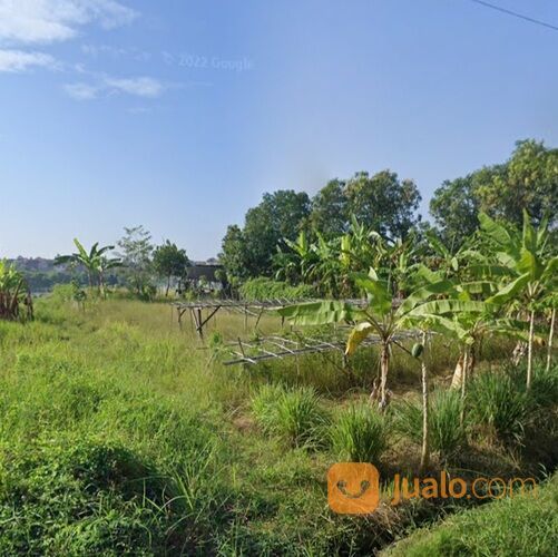 Tanah 11,9 are, Jl. Subak Canggu Batu Bolong Kuta Utara