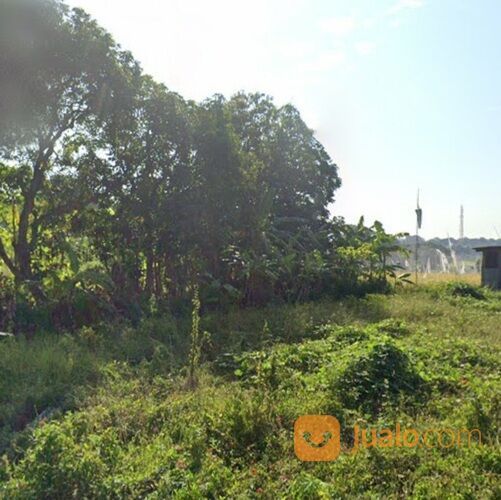 Tanah 11,9 are, Jl. Subak Canggu Batu Bolong Kuta Utara