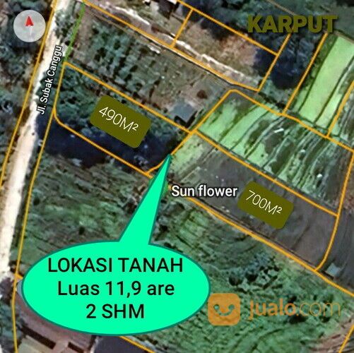 Tanah 11,9 are, Jl. Subak Canggu Batu Bolong Kuta Utara