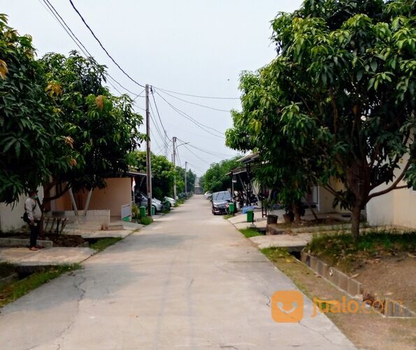 Rumah Amaryllis Serpong Garden Village Siap Huni 2 Lantai Harga Murah