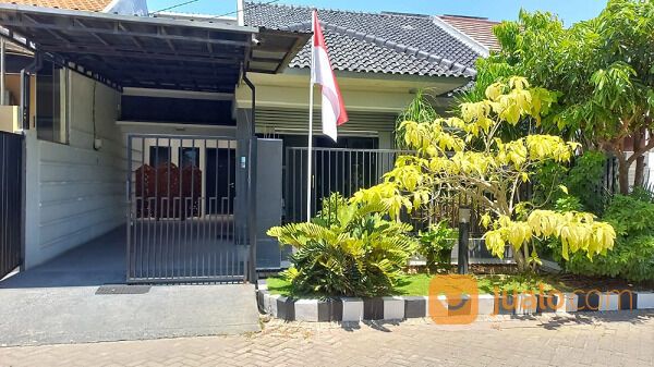 Pandugo Rumah Minimalis Row Lebar Selangkah Dari Merr