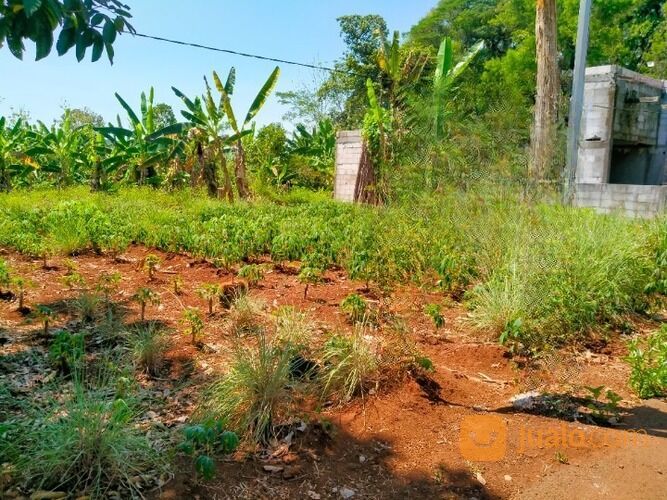 Tanah Kavling Palir Ngaliyan Dekat UNIKA BSB Semarang