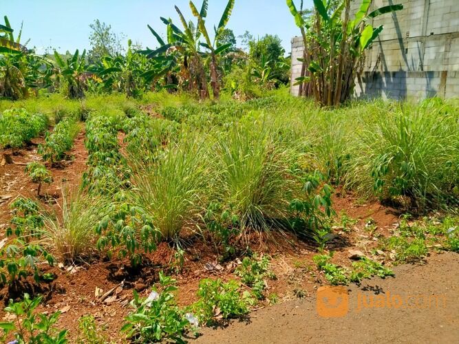 Tanah Kavling Palir Ngaliyan Dekat UNIKA BSB Semarang