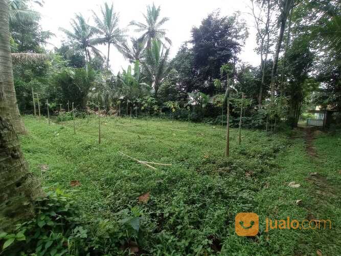 Tanah Bonus Rumah Area Tajinan Malang, E58