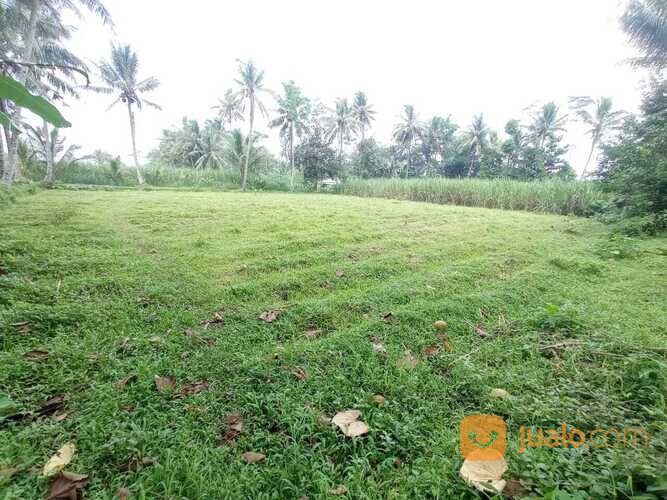 Tanah Bonus Rumah Area Tajinan Malang, E58