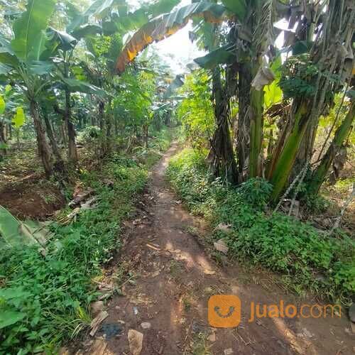 Tanah Limpung Batang, Luasan Besar, Zona Kuning