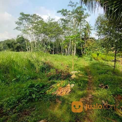 Tanah Limpung Batang, Luasan Besar, Zona Kuning