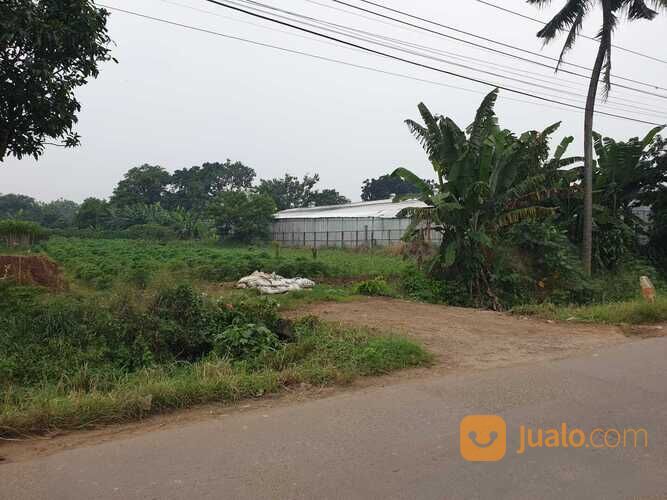 Hanya 2-Jtan, Tanah Bogor Dekat Pasar Prumpung Gunung Sindur