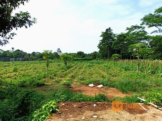 Hanya 2-Jtan, Tanah Bogor Dekat Pasar Prumpung Gunung Sindur