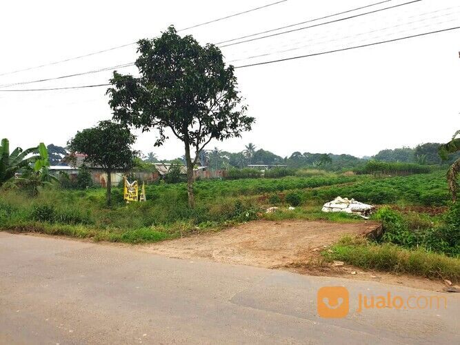 Hanya 2-Jtan, Tanah Bogor Dekat Pasar Prumpung Gunung Sindur