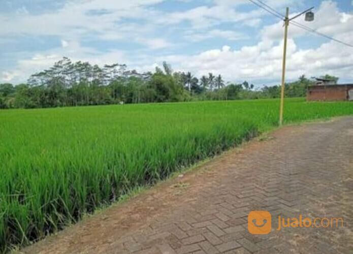 Tanah Lahan Sawah Produktif Lokasi Wagir Belakang Pabrik Gula Kebonagung Malang 1,125 Milyar