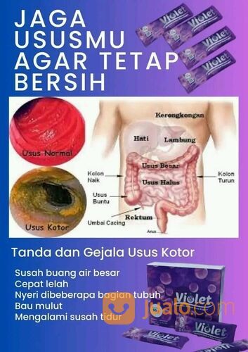 Violet Minuman Serbuk Collagen Rasa Anggur Mencerahkan kulit 1box isi 6 sachet Murah