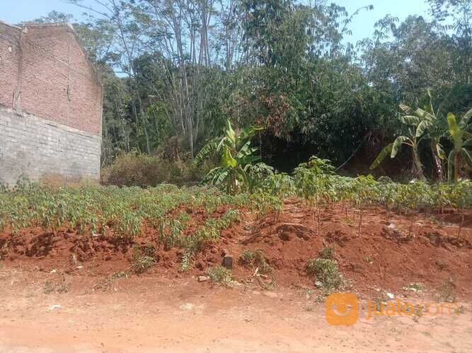 Tanah Randusari Nongkosawit Gunungpati